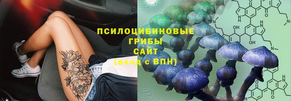 mdpv Баксан