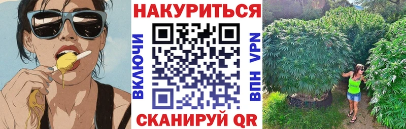 Шишки марихуана гибрид  Купить  Аргун 